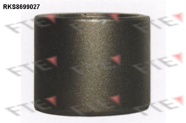 FTE Êmbolo, pinça do travão 9313490 Êmbolo pinça do travão FTE ESCORT 9313490 baratos