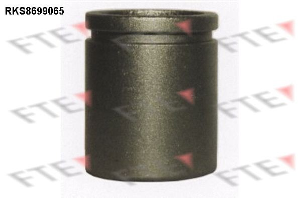 FTE Pistoncino pinza freno 9313516 9313516 costo Pistoncino pinza freno FTE VOLVO S40