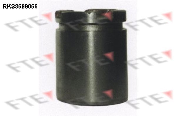 FTE Bromskolv 9313517 FTE 9313517 Bromskolv Renault 19 I original