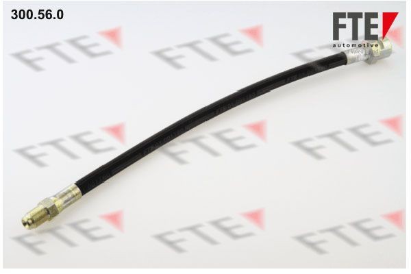 FTE Ελαστικός σωλήνας φρένων 9741019 Ελαστικός σωλήνας φρένων FTE Mercedes-Benz M-class 9741019