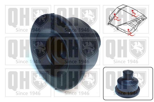 QUINTON HAZELL Anslagsbuffer, motortildekning EM4924 QUINTON HAZELL EM4924 Motor- / understellbeskyttelse Nissan Almera Tino til en fordelagtig pris