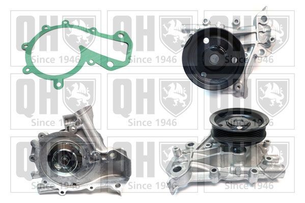QUINTON HAZELL Vannpumpe QCP3982 Vannpumpe QUINTON HAZELL VECTRA QCP3982 billige