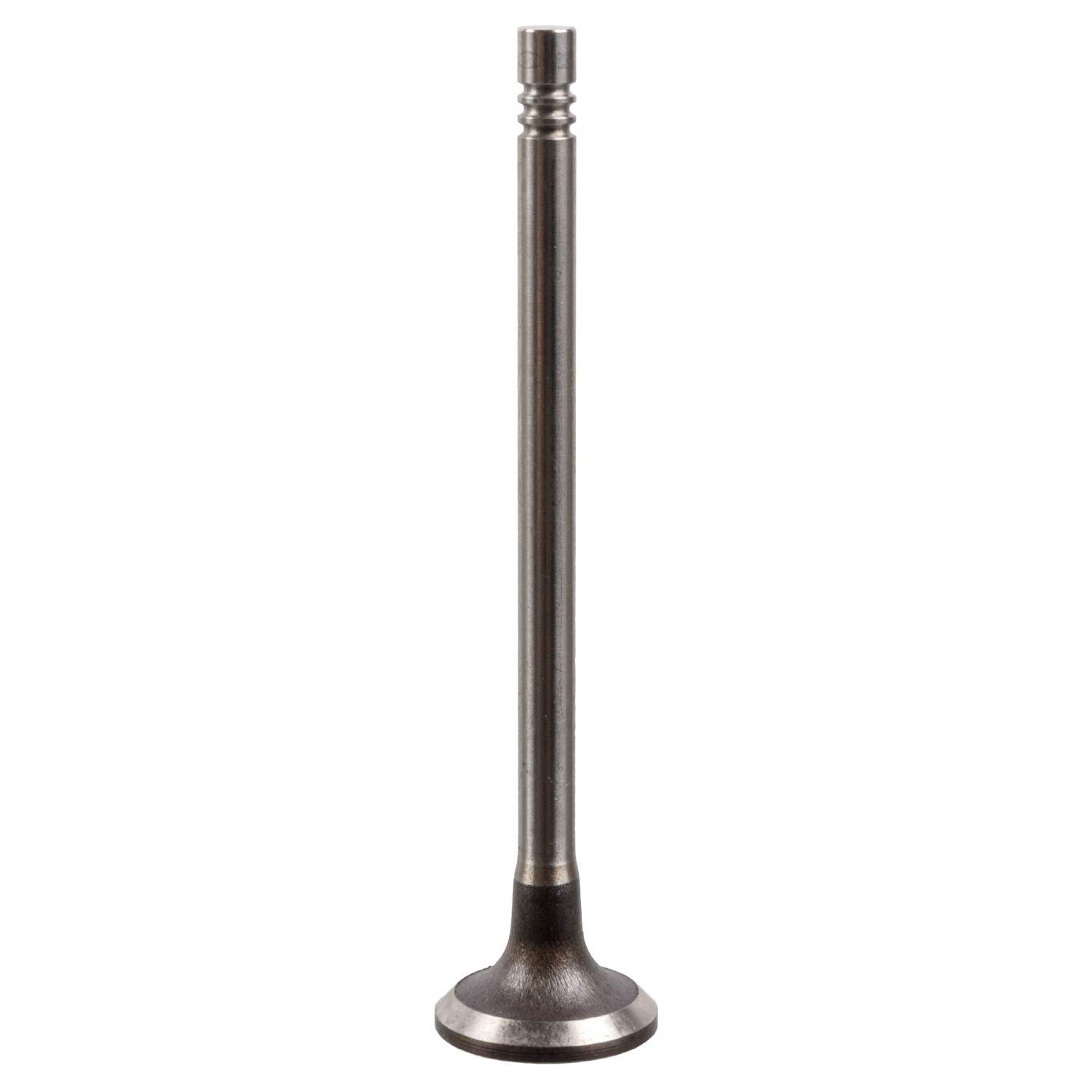 FEBI BILSTEIN Indsugningsventil 175555 175555 FEBI BILSTEIN Indsugningsventil Hyundai billig