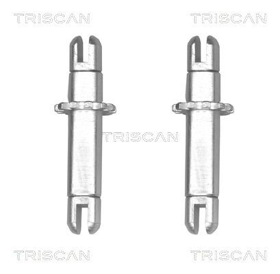 TRISCAN Remhefboom, remsysteem 8105 273001 Regulateur, trommelrem TRISCAN TIIDA 8105 273001 goedkoop