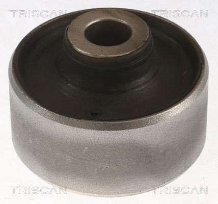 TRISCAN Feste, styrestag 8500 108005 8500 108005 TRISCAN Bærebruforing Nissan billige