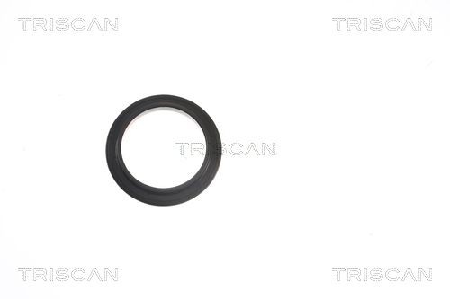 TRISCAN Laager, amorditugilaager 8500 13924 8500 13924 Amordi tugilaager TOYOTA RAV 4 TRISCAN