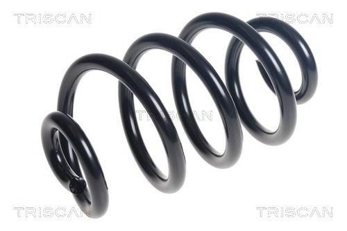 TRISCAN Molle ammortizzatori 8750 14139 8750 14139 costo Molle NISSAN TERRANO TRISCAN