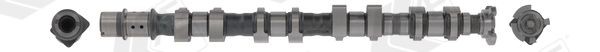 Sadales vārpsta AE CAM1014 AE CAM1014 Sadales vārpsta SAAB 9-5 2003