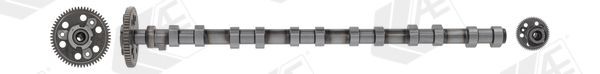 AE Nukkvõll CAM1016 AE Nukkvõllikomplekt SAAB CAM1016