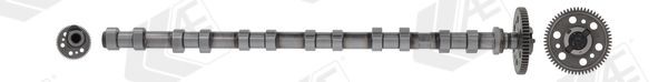 AE Albero a camme CAM1017 CAM1017 Albero a camme MERCEDES-BENZ Serie 123 AE costo