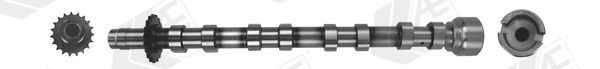 AE Árvore de cames CAM1019 Árvore de cames Peugeot 6C_ CAM1019 AE