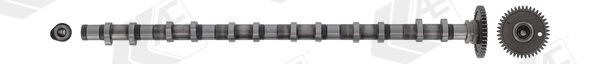 AE Árvore de cames CAM1021 AE CAM1021 Eixo de comando de válvulas X6 (G06, F96) preço