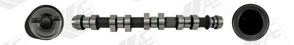 AE Sadales vārpsta CAM1022 AE CAM1022 Sadales vārpsta Carlton Mk3 Universālis (V87) cena