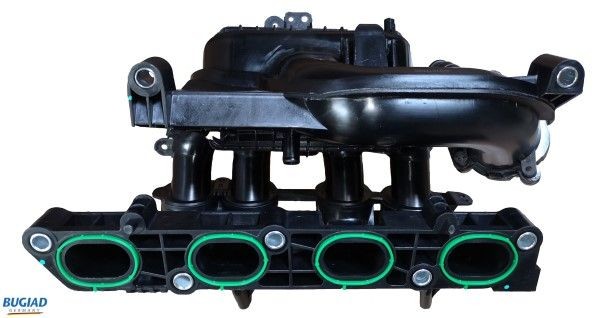 BUGIAD Sugerør, luftforsyning BIM17029 BUGIAD BIM17029 Innsugsmanifold Ford C-Max dm2 pris