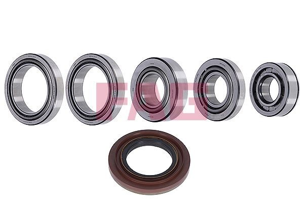 FAG Reparatieset, differentieel 463 0124 10 Reparatieset, differentieel FAG MERCEDES-BENZ 463 0124 10