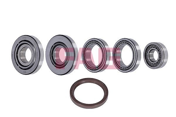 FAG Reparatursatz, Differential 463 0125 10 463 0125 10 Reparatursatz, Differential FORD TRANSIT CUSTOM FAG kaufen