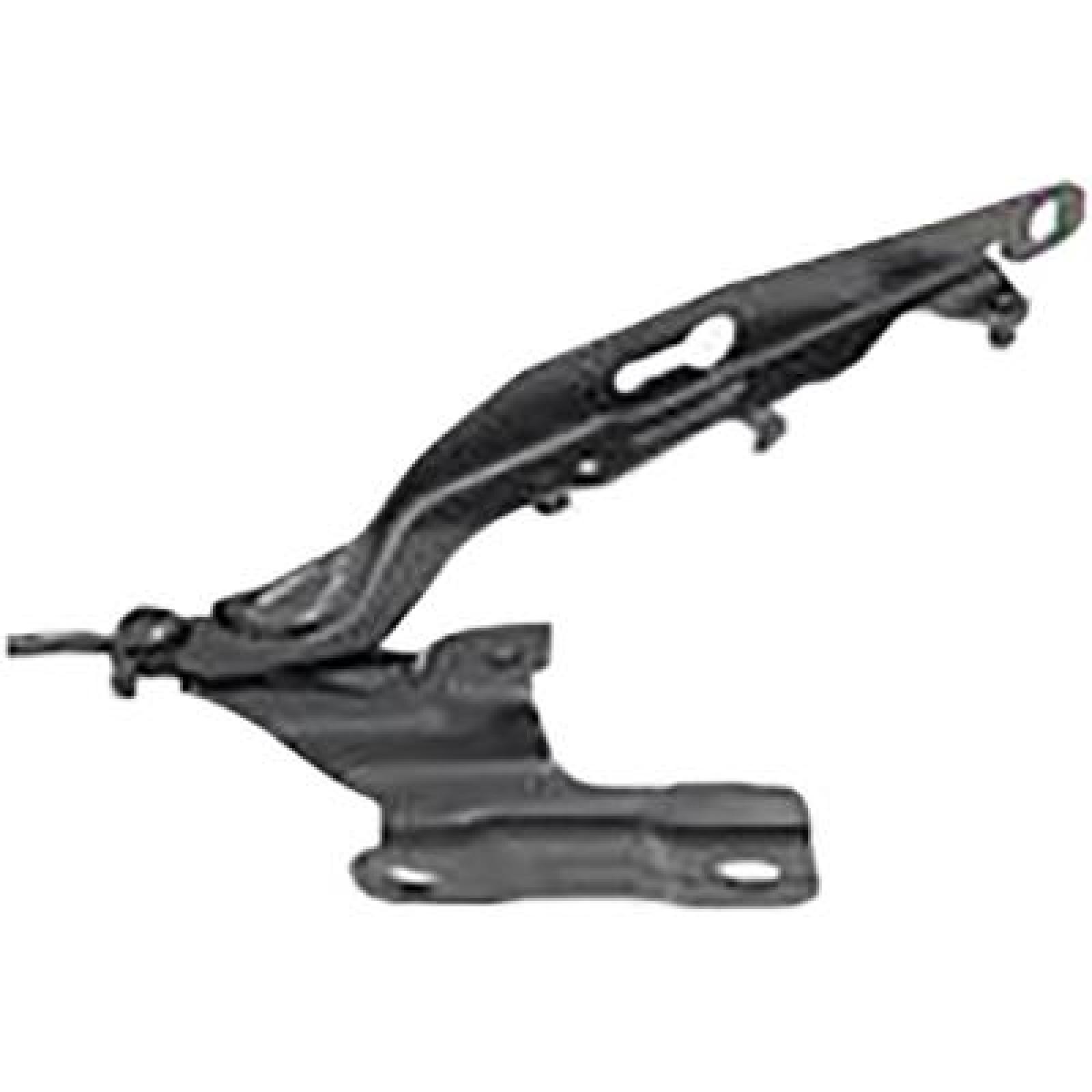 DIEDERICHS Scharnier, motorkap 7675019 DIEDERICHS 7675019 originele Motorkap Volvo 343 kosten