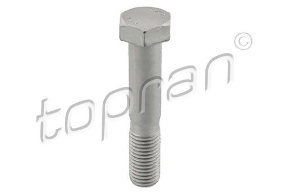 TOPRAN Skrutka 503 386 TOPRAN 503 386 Skrutka