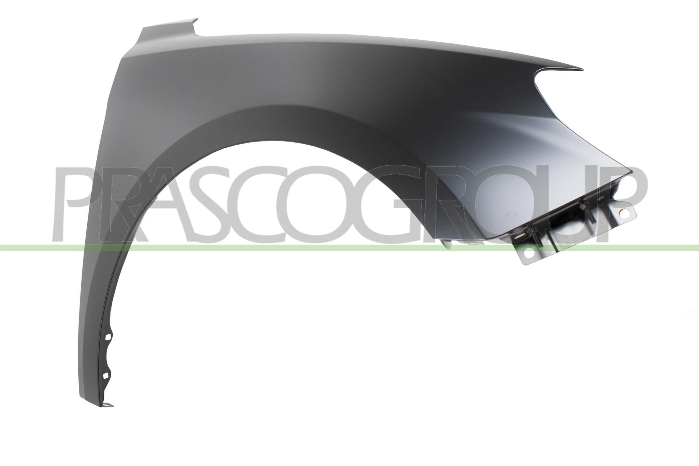 PRASCO Parafango AD1243003 PRASCO AD1243003 Parafango