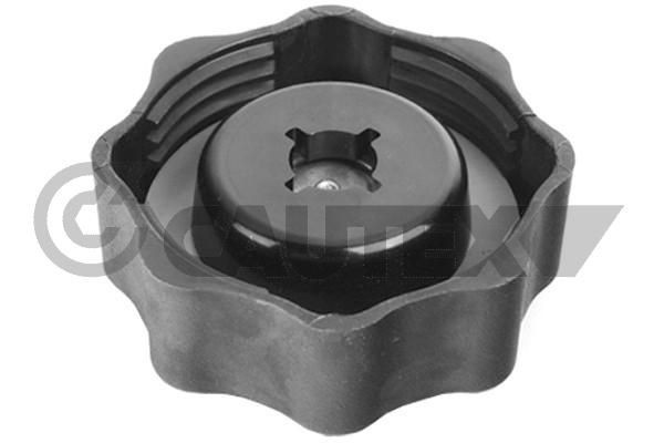 CAUTEX Lock till expansionskärl 770420 FORD USA lock till expansionskärl CAUTEX 770420