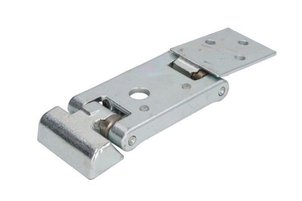 BLIC Cerniera portiera 6004-00-0284P BLIC 6004-00-0284P Cofano bagagliaio Land Rover RANGE ROVER EVOQUE originali