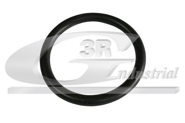 3RG Tihend, termostaat 80081 Termostaadi tihend 3RG RENAULT 80081