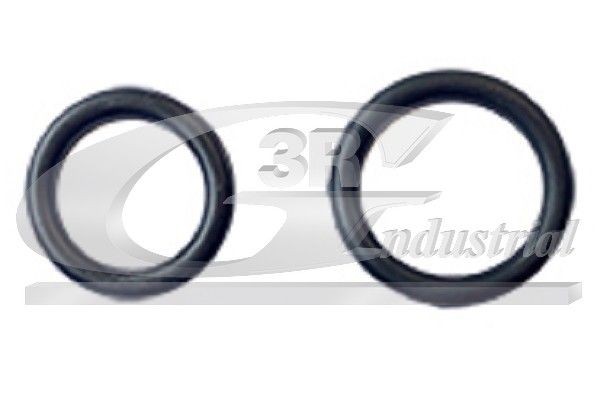 3RG Pakning, indsugningsmanifold 86253 86253 Indsugningsmanifold pakning 3RG MAZDA 3