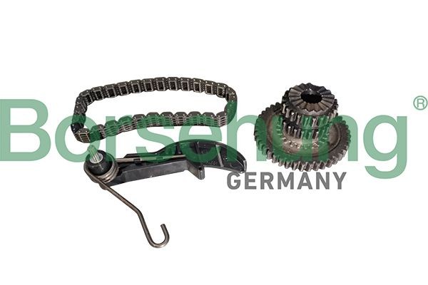 Borsehung Chain Set, oil pump drive B10218 Borsehung B10218 Seat Exeo Saloon drive chain replacement
