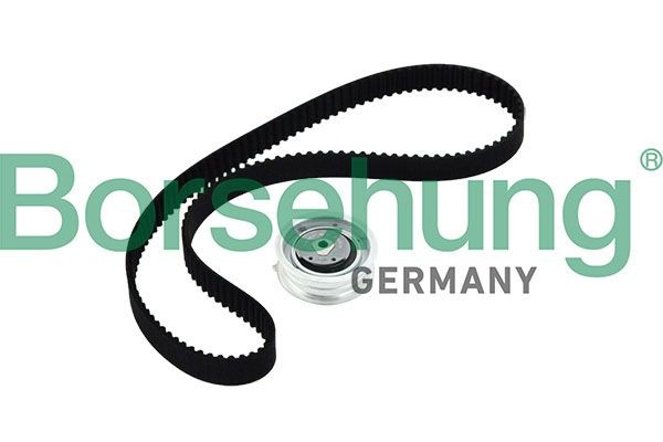Borsehung Zobsiksnas komplekts B10219 Zobsiksnas komplekts Borsehung AUDI B10219