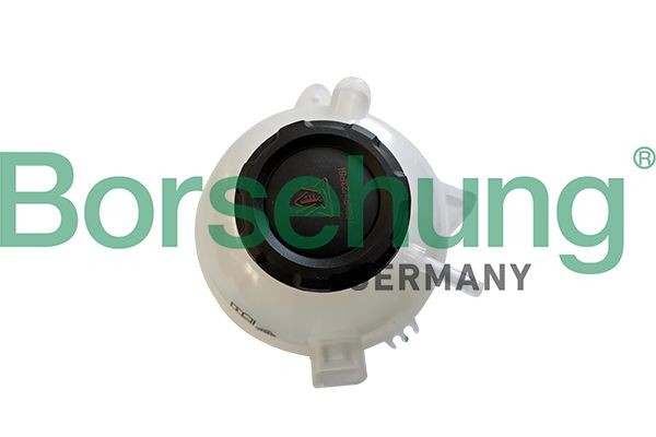 Depósito de expansão, líquido de refrigeração Borsehung B11942 Borsehung B11942 Reservatorio de agua radiador Volkswagen POLO 2003