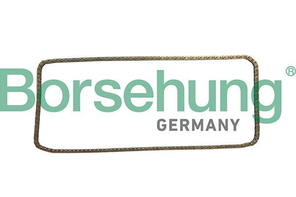 Borsehung Catena di distribuzione B1C029 Borsehung B1C029 Catena di distribuzione BMW F22 prezzo