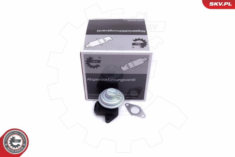 Vanne EGR ESEN SKV 14SKV205 ESEN SKV 14SKV205: Moteur vanne EGR Citroen C8 2013