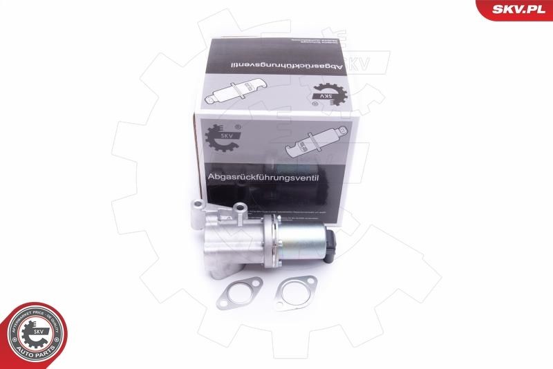 ESEN SKV AGR - Ventil 14SKV211 ESEN SKV 14SKV211 EGR ventil Shuma II Saloon (FB) cena