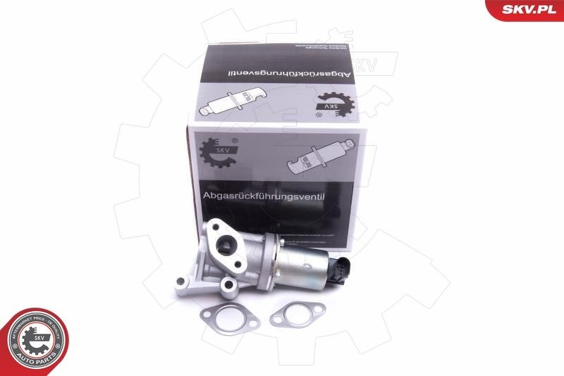 AGR - Ventil ESEN SKV 14SKV213 ESEN SKV 14SKV213 AGR modul HYUNDAI ELANTRA 2021