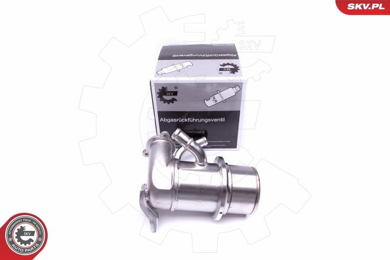 ESEN SKV Radiateur EGR 14SKV221 ESEN SKV 14SKV221 Refroidisseur EGR Audi TT FV pas cher