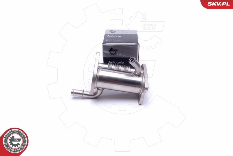 ESEN SKV EGR-jahuti 14SKV226 ESEN SKV 14SKV226 EGR jahuti RENAULT Clio IV Van odava hinnaga