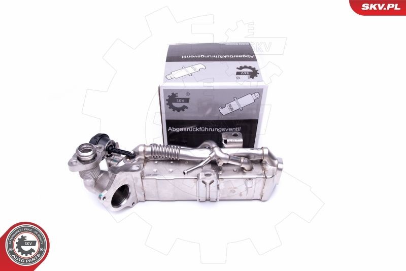 ESEN SKV AGR Kühler 14SKV228 AGR-Kühler ESEN SKV Alfa Romeo 166 14SKV228