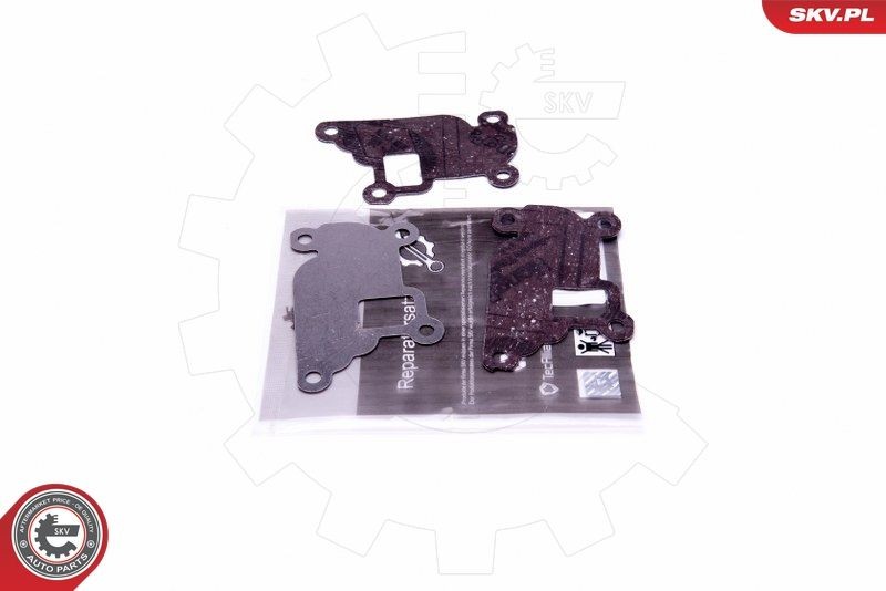 ESEN SKV Kit riparazione, modulo collettore aspirazione 14SKV527 ESEN SKV 14SKV527 Kit riparazione, modulo collettore aspirazione