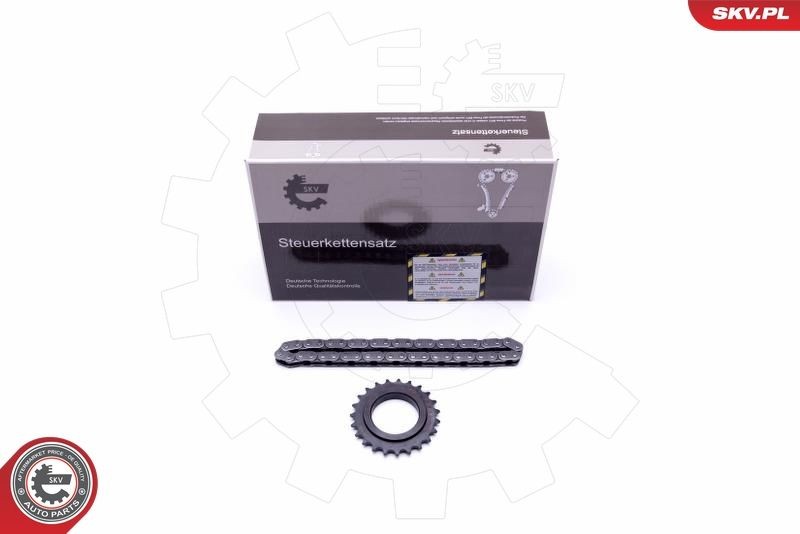 ESEN SKV Kit catene, Azionamento pompa olio 21SKV100 ESEN SKV 21SKV100 Catena di trasmissione NISSAN PICK UP prezzo