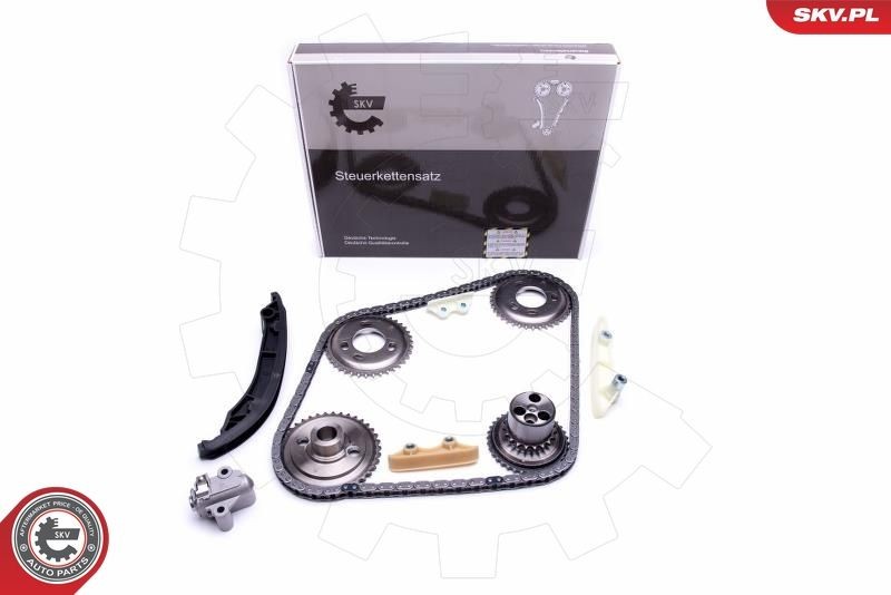 Mootori keti komplekt ESEN SKV 21SKV120 ESEN SKV 21SKV120: Juhtkett Ford RANGER 2009