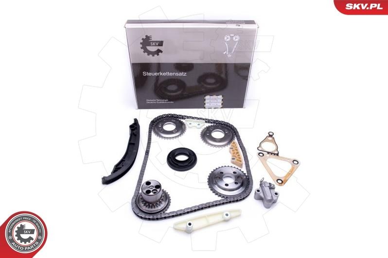 ESEN SKV Mootori keti komplekt 21SKV123 ESEN SKV 21SKV123 Mootori keti komplekt Land Rover Defender Cabrio hind