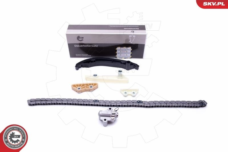 ESEN SKV Mootori keti komplekt 21SKV124 ESEN SKV 21SKV124 originaal Mootori keti komplekt Land Rover Defender Cabrio hind