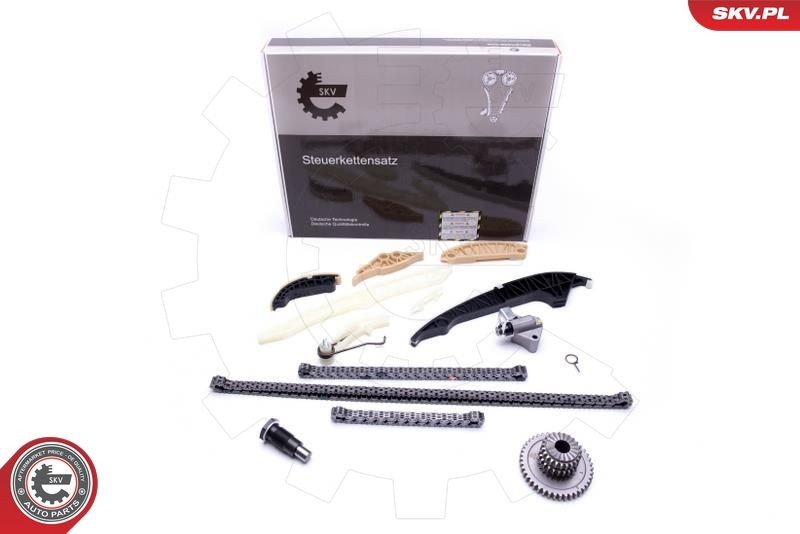 ESEN SKV Kit catena distribuzione 21SKV139 21SKV139 Kit catena distribuzione ESEN SKV FORD USA THUNDERBIRD costo