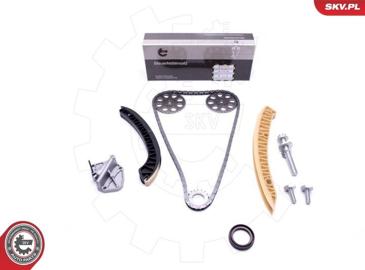 ESEN SKV Timing chain kit 21SKV177 21SKV177 ESEN SKV timing chain SKODA SUPERB