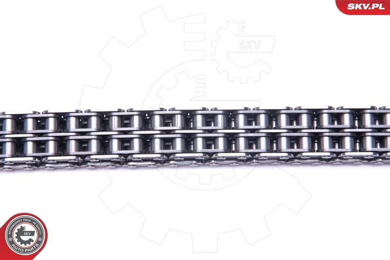 ESEN SKV Σετ καδένας χρονισμού 21SKV200 ESEN SKV 21SKV200 Σετ καδένας χρονισμού