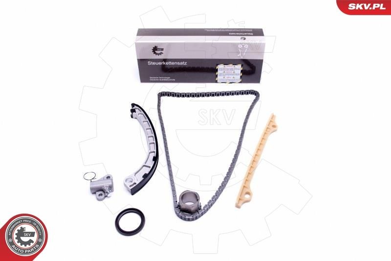 ESEN SKV Kit catena distribuzione 21SKV217 21SKV217 Kit catena distribuzione FORD USA THUNDERBIRD ESEN SKV costo
