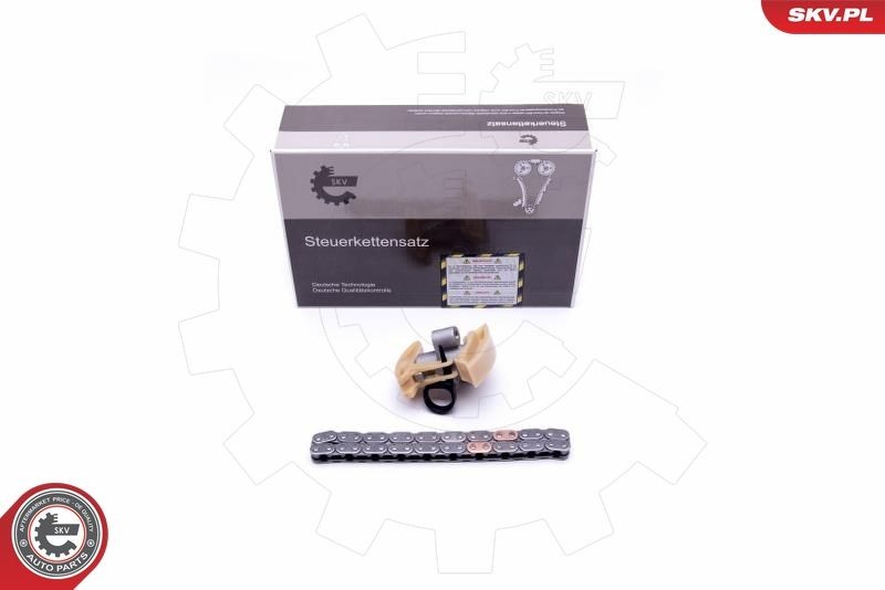 ESEN SKV Timing chain kit 21SKV227 ESEN SKV 21SKV227 genuine Fiat Scudo Van timing chain set price