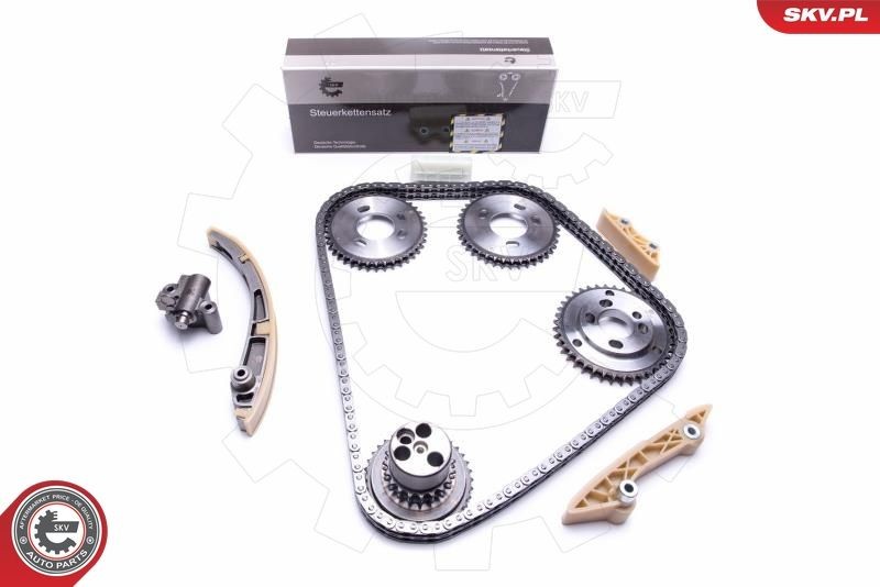 ESEN SKV Steuerkettensatz 21SKV247 21SKV247 ESEN SKV Ford Transit Mk5 Bus Steuerkette kaufen