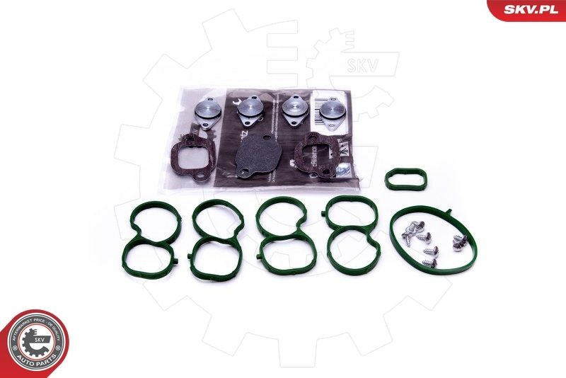 ESEN SKV Reparationssæt, induktionsrørmodul 49SKV512 ESEN SKV 49SKV512 Opel Astra J Sports Tourer P10 Indsugningsmanifold pakning pris