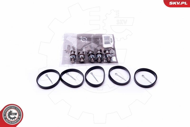 ESEN SKV Kit de reparação, módulo do tubo de aspiração 49SKV524 Junta de coletor de admissão ESEN SKV GLK 49SKV524 baratos